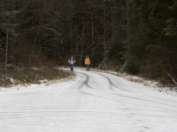 2012 Dreikönigstag