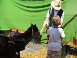 2013 Fleckenfest Bogenschießen